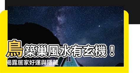 有鳥來家裡築巢|鳥巢風水：居家好運密碼